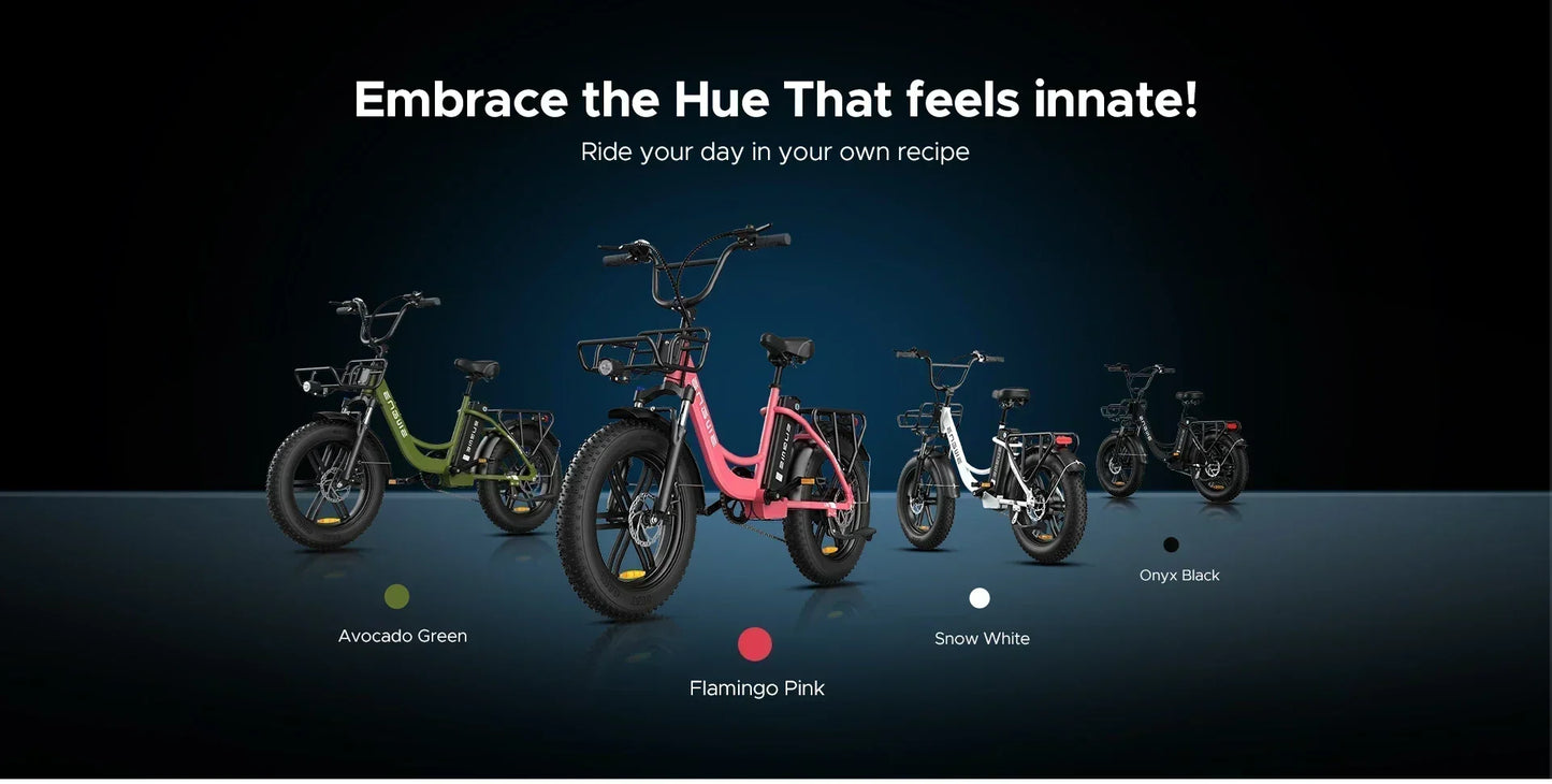 Electric Bicycle ENGWE L20 250W 48V 13AH Motor Battery 20*4.0inch Fat Tire Ebike 140km Mileage Adult Mountain City Electric Bike